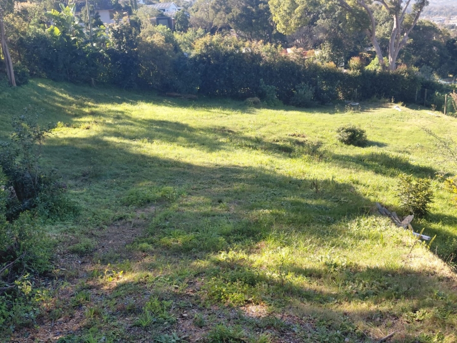 Commercial Property for Sale in Paradise Western Cape